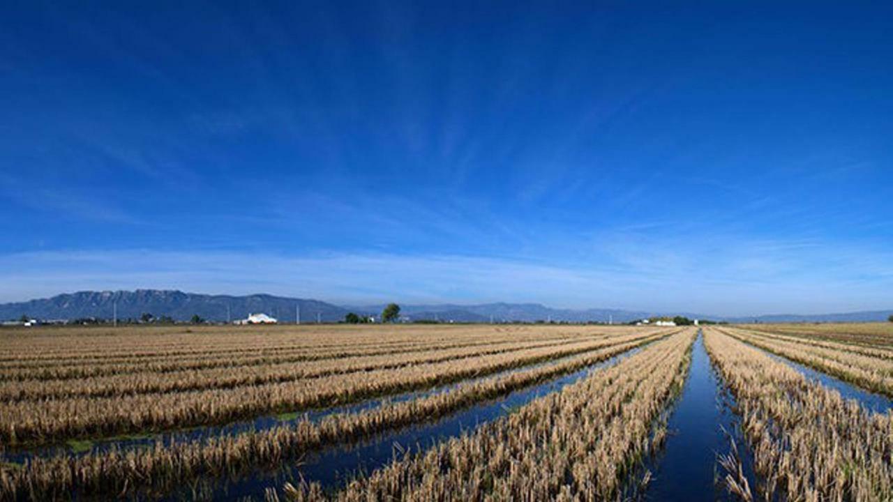 Mi Apartamento En El Delta Del Ebro+ Deltebre Luaran gambar