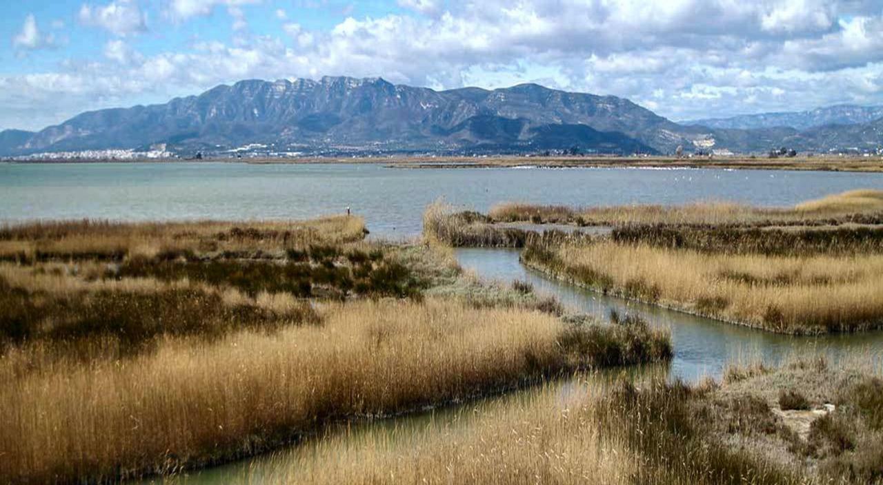 Mi Apartamento En El Delta Del Ebro+ Deltebre Luaran gambar