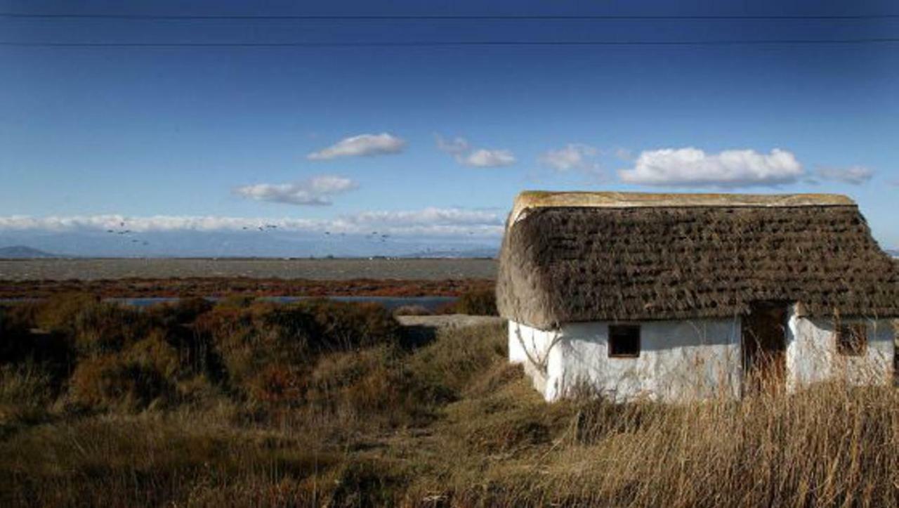 Mi Apartamento En El Delta Del Ebro+ Deltebre Luaran gambar
