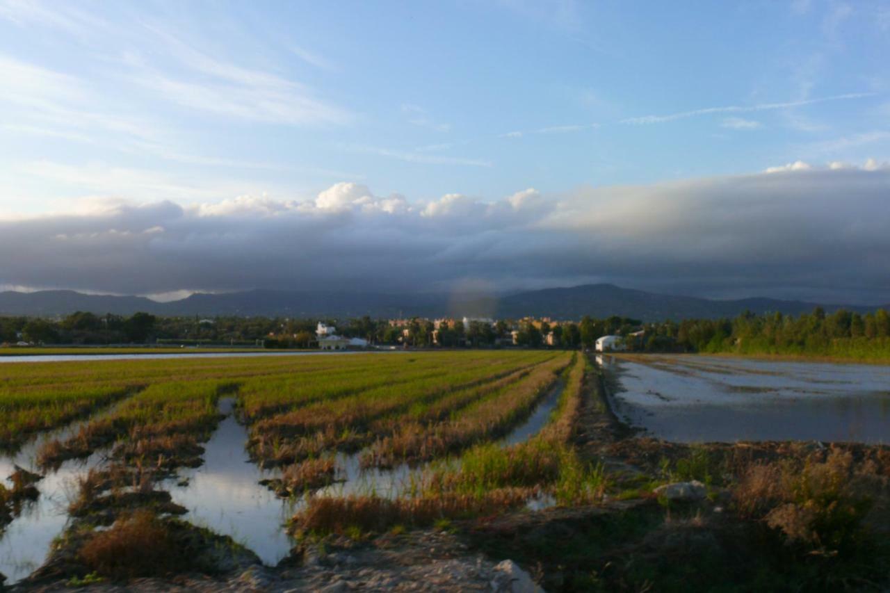 Mi Apartamento En El Delta Del Ebro+ Deltebre Luaran gambar